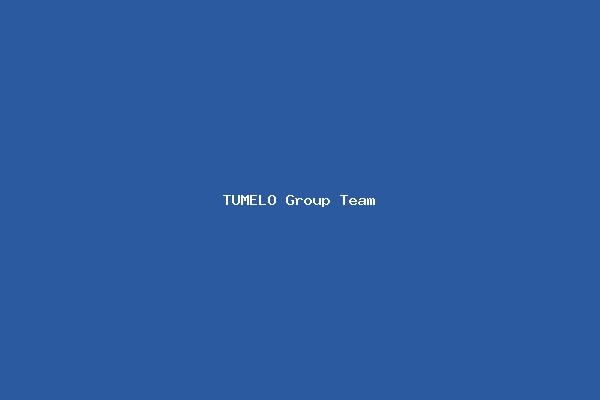 TUMELO Group Team