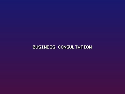 Business Consultation