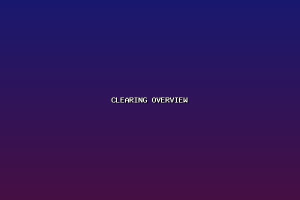 Customs Clearing Overview